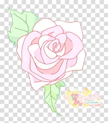 Rosa, pink rose transparent background PNG clipart