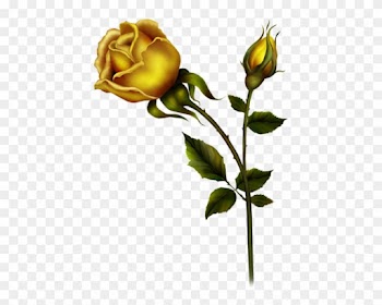 Rosas Amarillas - Metal Rose Png