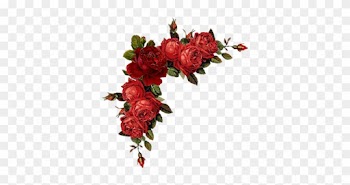 Rosas De Verônica - Flower Border Red Png