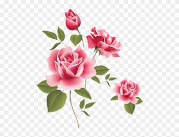 Rosas Rosa Sticker Stickerrosas Beautiful - Rose Flower
