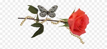 Анимашка Цветок, Бабочка И Нитка Жемчуга - Rose And Butterfly Gifs