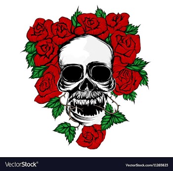 Rose and skull vector image