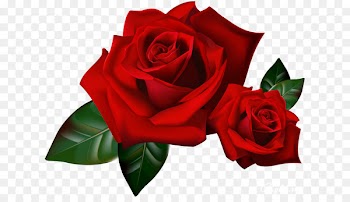 Rose Animation YouTube - red rose border 