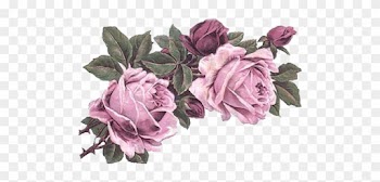 Rose Art, Vintage Flowers, Victorian Flowers, Rose - Vintage Pastel Flower Png