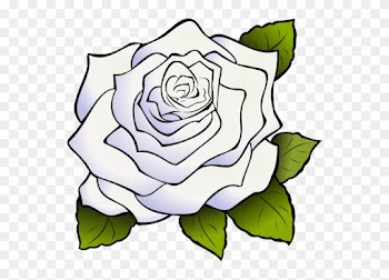 Rose Black And White Outline Clipart Panda Free Clipart - White Rose Clipart Png