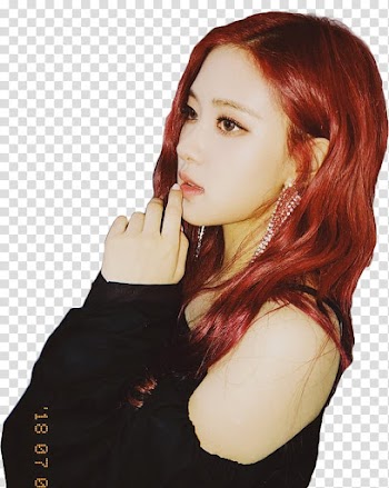 Rose BLACKPINK , Rose from BlackPink transparent background PNG clipart
