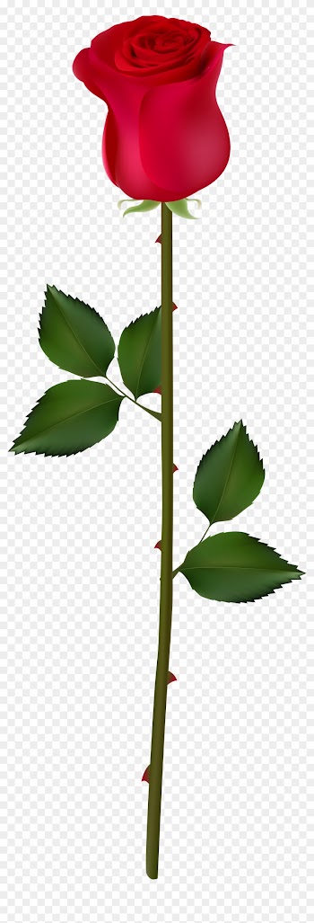 Rose Bud Clipart - Rose Bud Png