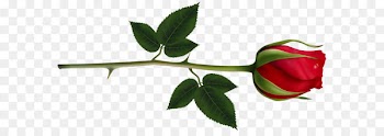 Rose Bud Red Clip art - Red Steam Rose Clipart PNG Image 