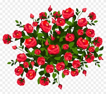 Rose Bush Clipart