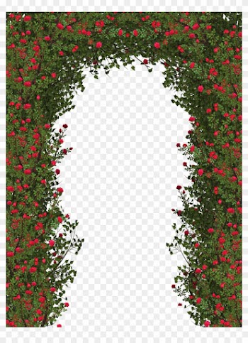 Rose Bush Clipart Flower Shrub - Rose Flower Tree Png