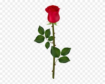 Rose Bush Clipart Rose Vines - Rose Png For Picsart