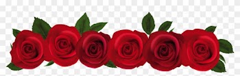 Rose Clip Art Border 9tpbdbj8c - Red Rose In Png