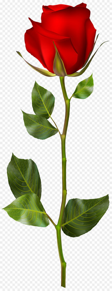 Rose Clip art - Romantic Valentine's Day bud 