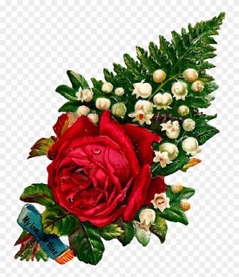 Rose Clip Art - Rose And Lily Of The Valley