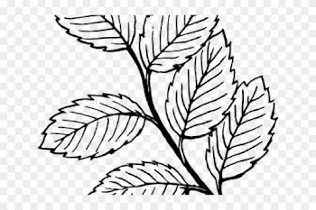 Rose Clipart Leaf - Clipart Of A Leaf In Black And White