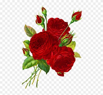 Rose Clipart - Many Red Roses Drawings