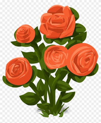 Rose Clipart Rose Bush - Rose Bush Clip Art