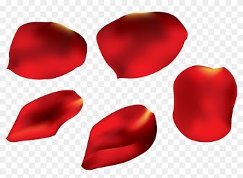 Rose Clipart Rose Petal - Red Rose Petals Png