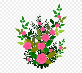 Rose Clipart Rose Plant - Rose Shrub Clipart