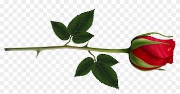 Rose Clipart Rose Tree - Red Rose Bud Png