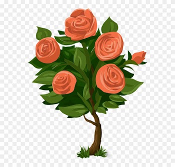 Rose Clipart Rose Tree - Rose Bush Clip Art