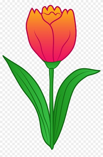 Rose Clipart Tulip - Tulip Flower Clipart