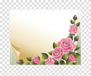 Rose , Colorful romance transparent background PNG clipart