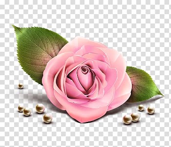 Rose Computer Icons , rose transparent background PNG clipart