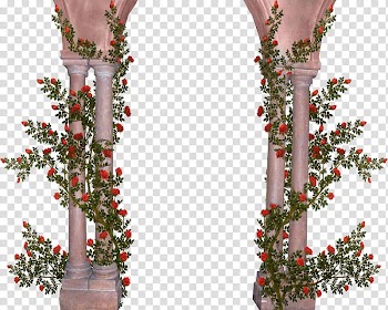 Rose covered pillars transparent background PNG clipart
