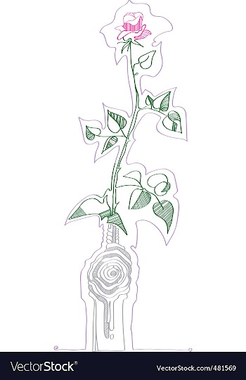 Rose design vector image