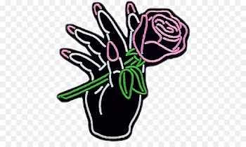 Rose, Desktop Wallpaper, Flower, Plant, Herbaceous Plant PNG