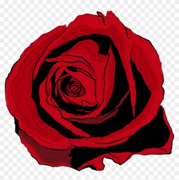 Rose Drawing By Bobhertley - Red Rose Png Drawing