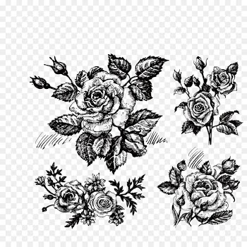 Rose Drawing Flower Clip art - Hand-painted roses 