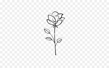 Rose Drawing Flower Clip art - rose 