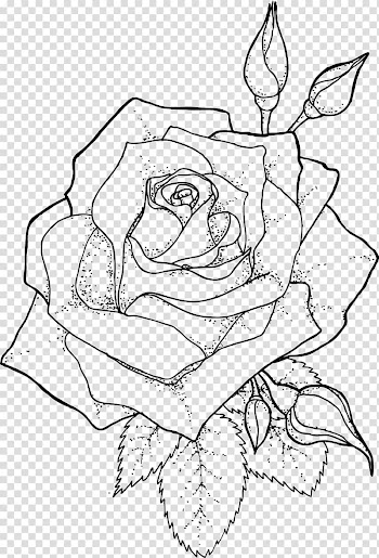 Rose , Drawing Line art Coloring book, rose outline transparent background PNG clipart