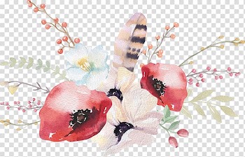 Rose Drawing, rose transparent background PNG clipart