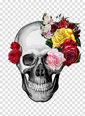 Rose Drawing Skull Art, rose transparent background PNG clipart
