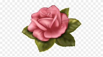 Rose Drawingswafer Papertrue Colorscredit - Perfect Rose Cross Stitch Pattern