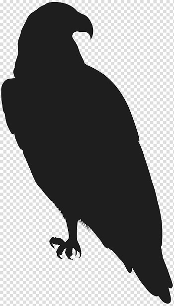 Rose , Eagle transparent background PNG clipart