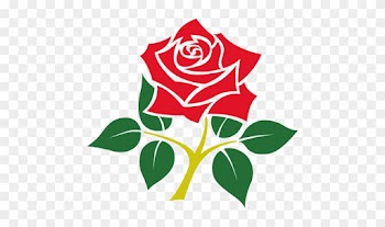 Rose Emblem Of England