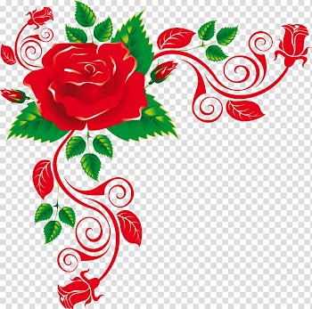 Rose Encapsulated PostScript , rose transparent background PNG clipart