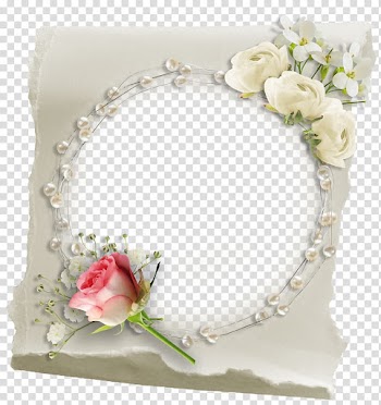 Rose Floral design Cut flowers, rose transparent background PNG clipart