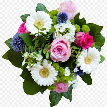 Rose, Floral Design, Flower Bouquet, Flower, Bouquet PNG