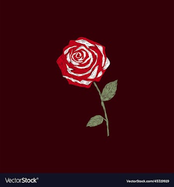 rose flower beauty artwork style design