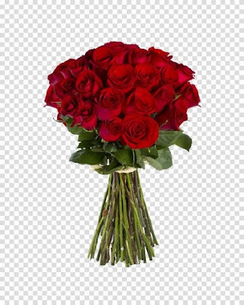 Rose Flower bouquet Floristry Flower delivery, Rose Bunch transparent background PNG clipart