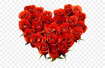 Rose Flower bouquet Flower delivery Wallpaper - Bouquet Of Roses Png Image Picture Download 