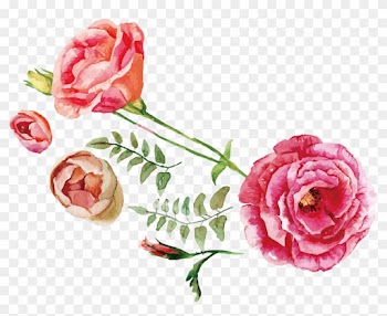 Rose Flower Bouquet Illustration - Watercolor Flowers Vector Free Download