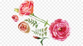 Rose Flower bouquet Illustration - Watercolor roses 