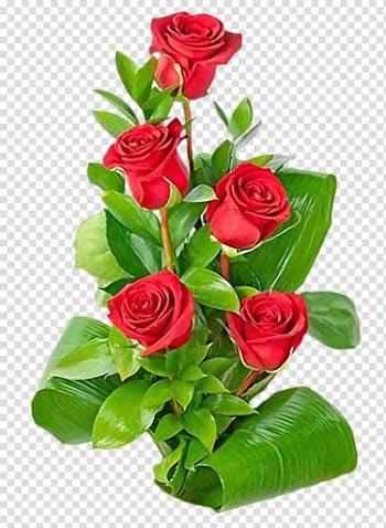 Rose Flower bouquet Pink Floristry, A rose transparent background PNG clipart