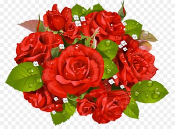 Rose Flower bouquet Stock photography Clip art - Bouquet of red roses with water droplets 